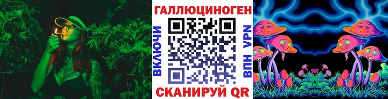 Купить  Аша  Галлюциногенные грибы GOLDEN TEACHER 